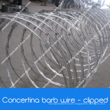 High Quality and Competitive Rate Concertina Razor Wire